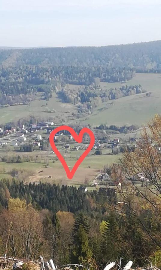 Brzozówka W Bieszczadach Domek alpejski *